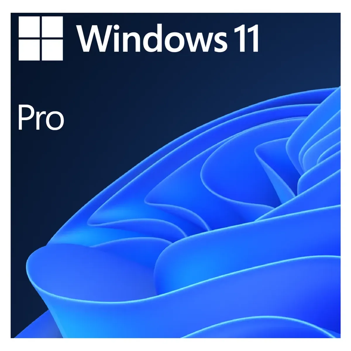 Windows 11 Pro 64Bit English International 1pack DSP OEI DVD | FQC-10528