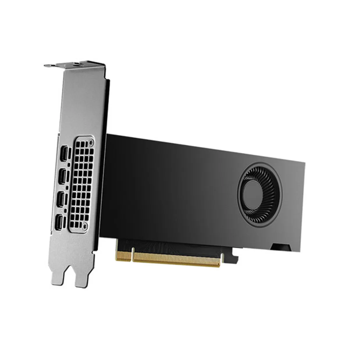 VGA PNY RTX 2000 ADA 16GB DDR6 (VCNRTX2000ADA-SB)